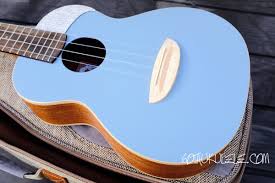 Iconic and british, that's tower. Anuenue Uc10 Color Series Concert Ukulele Review