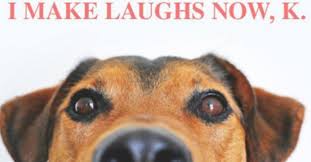 Blog Pet Fed