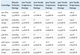 300 Win Mag Vs 338 Lapua Vs 338 Win Mag Picking The Right