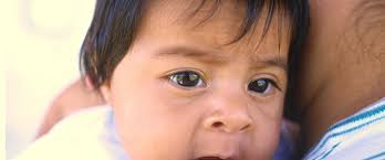 Instinto Maternal program travels north to follow migrants