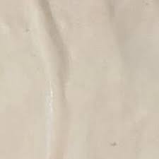 Image result for Tessmannia burttii