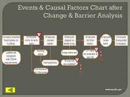 73 Skillful Causal Factor Chart Template