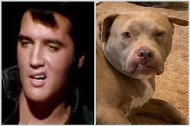 Garden City Police Department