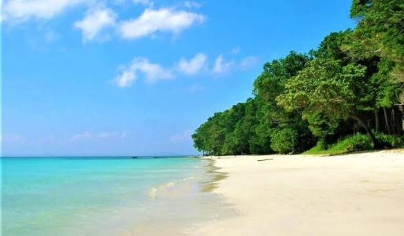 Havelock Island (Swaraj Dweep) Beach Guide: Radhanagar, Elephant Beach & Beyond