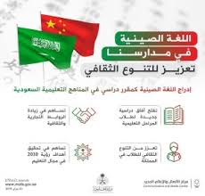 إنفو جراف السعودية تكشف تفاصيل تدريس اللغة الصينية في مدارس المملكة كايرو بريس