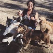 Check spelling or type a new query. Best 24 Hour Emergency Vet Near Me July 2021 Find Nearby 24 Hour Emergency Vet Reviews Yelp