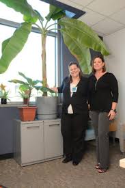 Today is Banana Day!