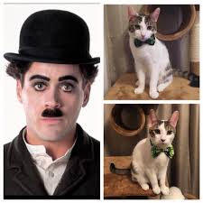 Happy Bobcat Birthday Ian Elmore!