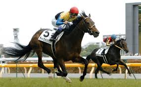 Search for text in self post contents. æ—¥æœ¬ç«¶é¦¬ æ­´ä»£ç«¶èµ°é¦¬ãƒ©ãƒ³ã‚­ãƒ³ã‚°2020å¹´æœ€æ–°ç‰ˆ