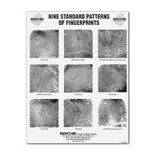 Fingerprint Pattern Wall Chart Training Materials