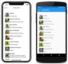 When adding custom animations to your xamarin applications don't immediately jump to the custom renderers and platform specific code. Xamarin Forms Collectionview Code Samples Microsoft Docs