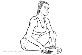 Bench Flutter Kicks Butterfly Stretch Workout Guide Hip Flexibility