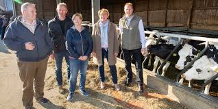 Fresh eggs in their shell. Landwirtschaftsministerin Besucht Hof Vogt In Evesen