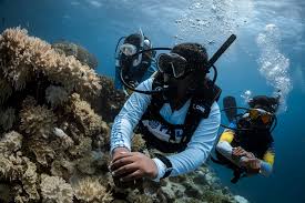 Diventa un Professionista PADI e Vivi il Tuo Sogno