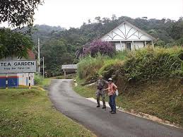 Many of you searching for typing jobs or typing work from home. Taiping Weekend Faded Glory