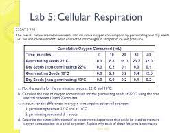 Lab 5 Cellular Respiration Lab 5 Cellular Respiration Description Using Respirometer To Measure Rate Of O 2 Production By Pea Seeds Ppt Download