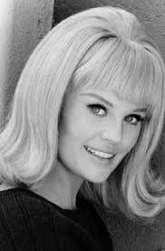 Pamela Austin-The Dodge Rebellion Girl : r/ClassicScreenBeauties