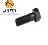Bottom Track Roller Bolt M18*2.5*60mm | LUCAS PARTS