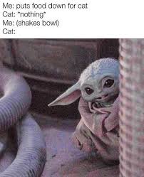 Thirty Three Extra Juicy Caturday Memes Yoda Meme Yoda Funny Star Wars Memes
