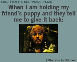 Pirates Of The Caribbean Memes 56 Jack Sparrow Funny Pirates Of The Caribbean Funny Relatable Memes