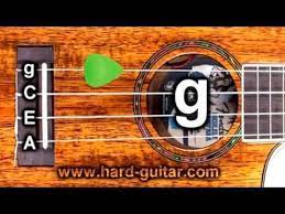 Be inspired by styles, designs, trends & decorating advice. 110 Ukulele Ideas In 2021 Ukulele Ukulele Music Ukulele Songs