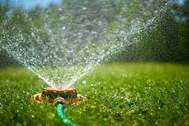 Established lawns with deep, extensive root systems sometimes can be watered less often. How Much You Should Water Your Lawn According To A Golf Superintendent