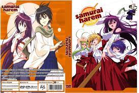 Samurai Harem Anime Series Episodes 12 | eBay