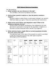 Natural Selection Elab Natural Selection Labphet Simulation Go To Http Phet Colorado Edu En Simulation Natural Selection Pre Lab Questions 1 What Course Hero