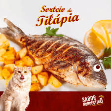 Fotocuisinette / shutterstock fish is delicious, usually ea. Tilapia Gifs Get The Best Gif On Giphy