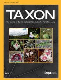 Image result for Syngonanthus wahlbergii