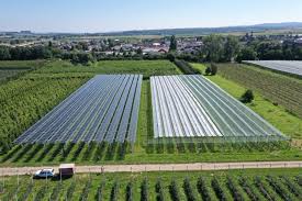 Alimentare in agricoltura impianti di irrigazione, serre, pompare acqua in aree agricole