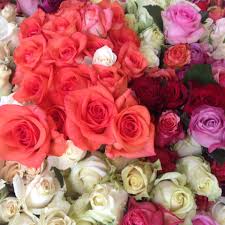 Buy flowers in bulk uk. Wholesale Flowers Home Facebook