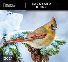 I've put this resource together for you to answer the question: Backyard Birds Zebrapublishing