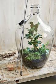 Terrarium Tools Sneeboer Bottle Garden Terrarium Bottle Terrarium