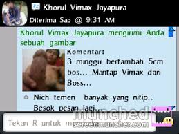 Hasil gambar untuk HASIL VIMAX