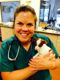 Home Animal Emergency Hospital Of Mansfield