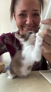 Come be late with me thanks to Otter & her bottle. #kitten #kittensof...