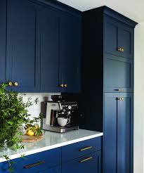 The Most Popular Kitchen Storage Ideas On Houzz Homes Tre Blue Kitchen Cabinets Kitchen Design Kitchen Remodel Small