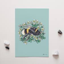 Penny + Lesh Collab Collection