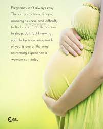 Pin On Pregnancy Quotes