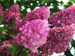 Pin On Gardening Outdoor Decor