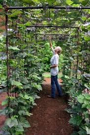Garden trellis ideas are as varied as your home's style. 21 Best Diy Trellis Ideas For The Gardener In You Crazy Laura