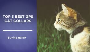 However, there are definitely better ways to track your cat! Top 3 Best Gps Cat Collars Good Rater