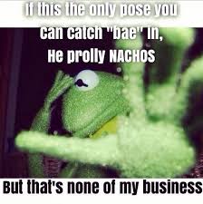 Pin On Kermit The Frog Quotes