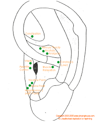 Auricular Acupuncture Functional I Points Yin Yang House