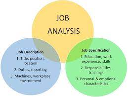 Job Analysis Definition Importance Human Resources Hr Dictionary Mba Skool Study Learn Share