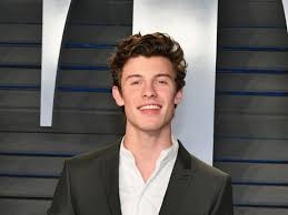 Shawn Mendes At Bridgestone Arena Nashville Tn Hermitage