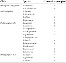 Image result for Dalbergia bracteolata
