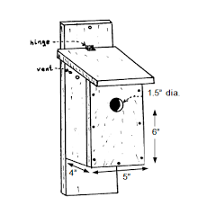 Check spelling or type a new query. Building Songbird Boxes Nc State Extension Publications