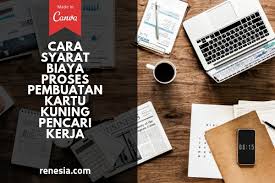 Kartu kuning pencari kerja, sama halnya dengan surat keterangan catatan kepolisian/ skck sekali lagi, setiap melakukan kepengurusan surat yang berhubungan dengan birokrasi, ada baiknya. Cara Syarat Dan Biaya Proses Pembuatan Kartu Kuning Pencari Kerja
